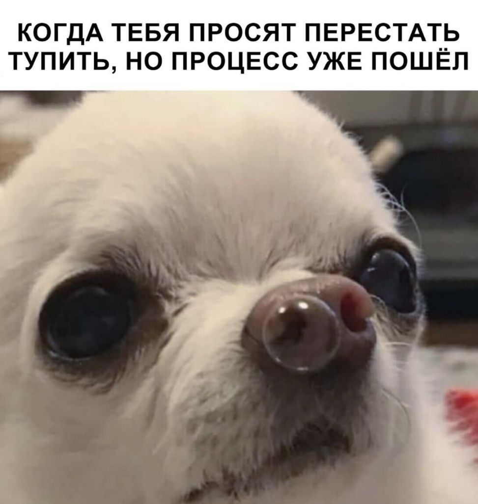 КОГДА ТЕБЯ ПРОСЯТ ПЕРЕСТАТЬ ТУПИТЬ НО ПРОЦЕСС УЖЕ ПОШЁЛ