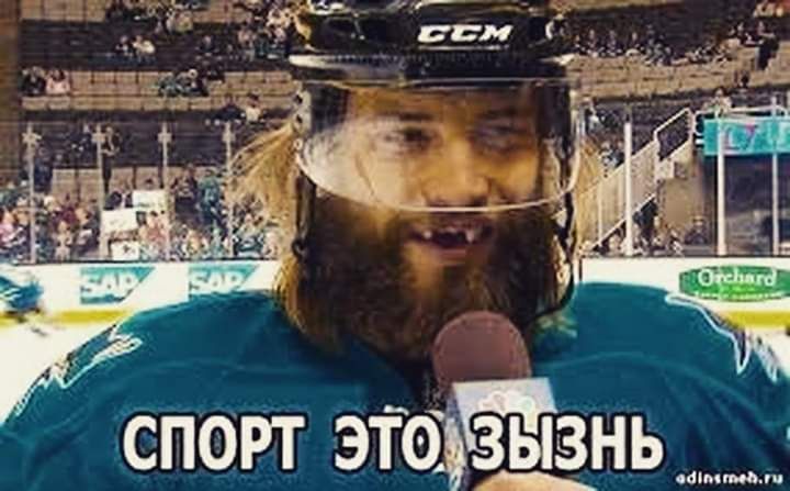 Н ПОРТ это знь ЗЬ С Э