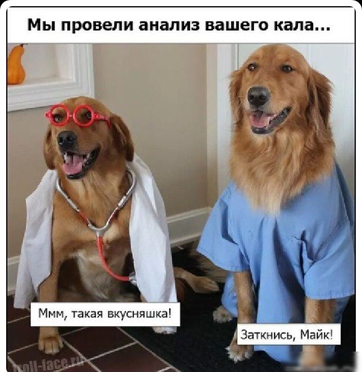 Мы провели анализ вашего кала