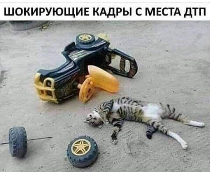 ШОКИРУЮЩИЕ КАДРЫ С МЕСТА ДТП