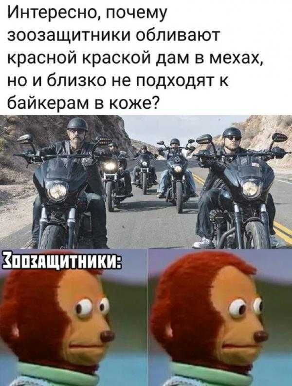 Интересно почему зоозащитники обливают красной краской дам в мехах но и близко не подходят к байкерам в коже