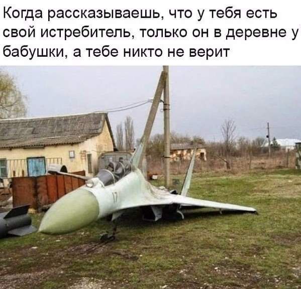 Когда рассказываешь что у тебя есть свой истребитель только он в деревне у бабушки а тебе никто не верит