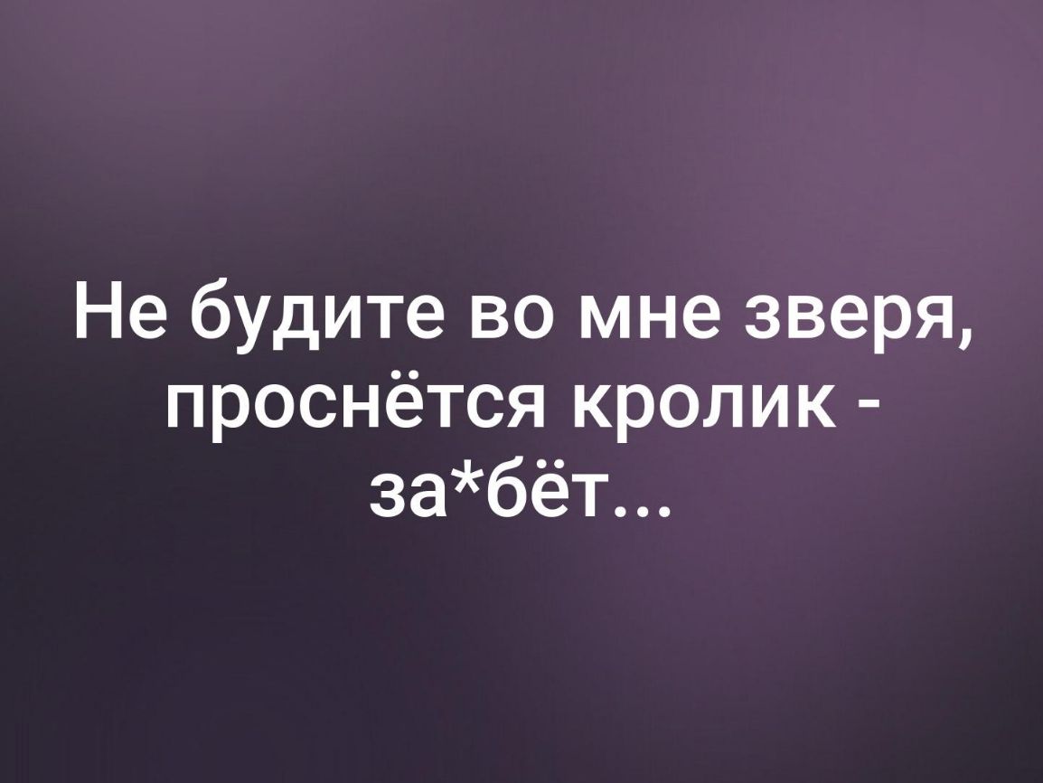 Не будите во мне зверя проснётся кролик забёт