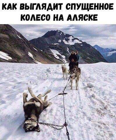 КАК ВЫГАЯАИТ СПУЩЕННОЕ КОЛЕСО НА ААЯСКЕ