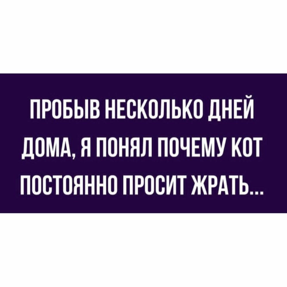 ПРОБЫВ НЕСКОЛЬКО ДНЕЙ дОМА Я ПОНЯЛ ПОЧЕМУ КОТ ПОСТОЯННО ПРООИТ ЖРАТЬ
