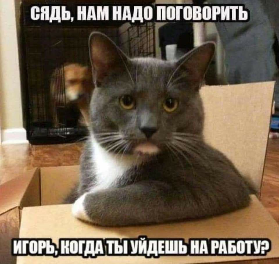 сядь ШШ НМП ЁЁШВШПЪ ЙШРЬ иогддты УЙДЕШЬ нд 33