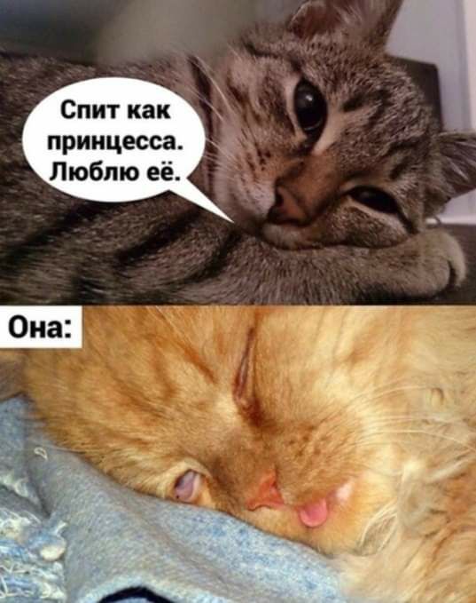 Спит как принцесса Люблю её