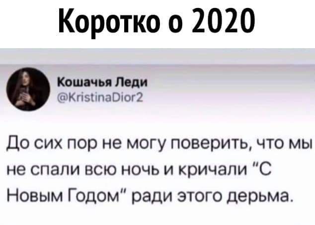 Коротко о 2020 Кошачья Поди ЪКгізтіпаОпог До сих пор не могу поверить что мы не спали всю ночь и кричали С Новым Годом ради этого дерьма