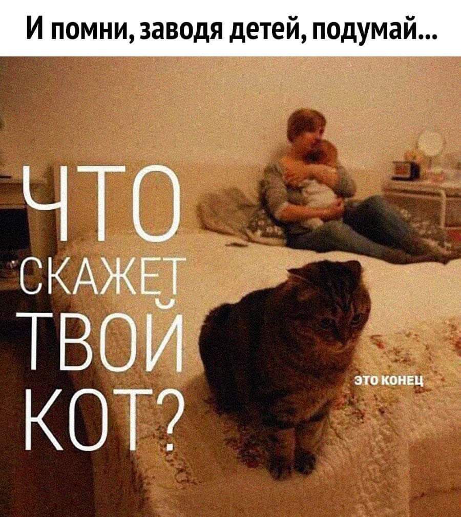 И помни заводя детей подумай ГТО СКАЖЕТ твой КОТ