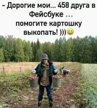 дорогие мои 458 друга в Фейсбуке помогите картошку выкопать 0 А