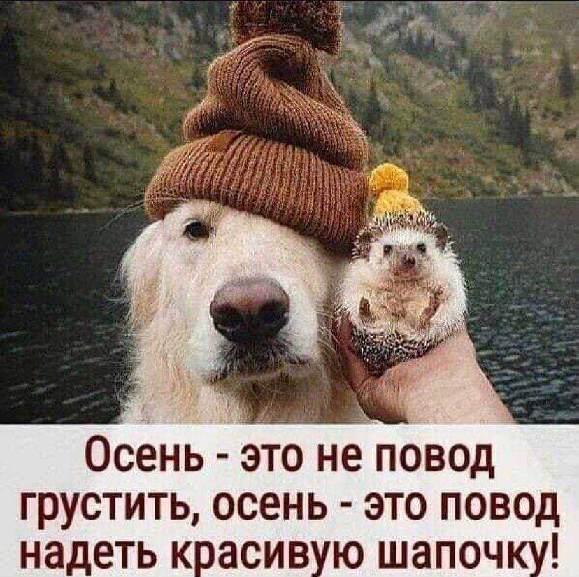 Осень это не повод грустить осень это повод надеть касив ю шапоч