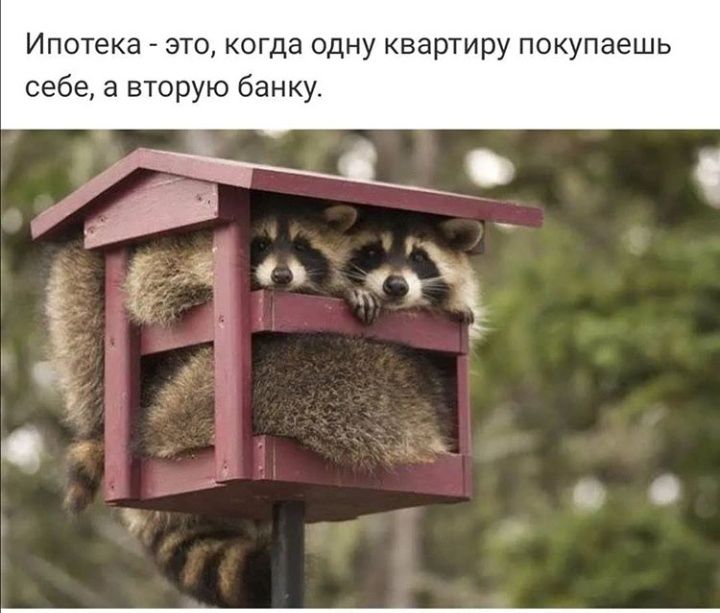 Ипотека это когда одну квартиру покупаешь себе а вторую банку