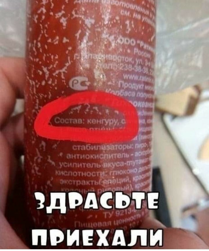 эдрдсьм чз ту9 в Ц ПРИЕХАЛИ