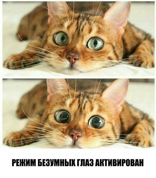 РЕЖИМ БЕЗШИЪШ ШМ ШИВИРВПШ