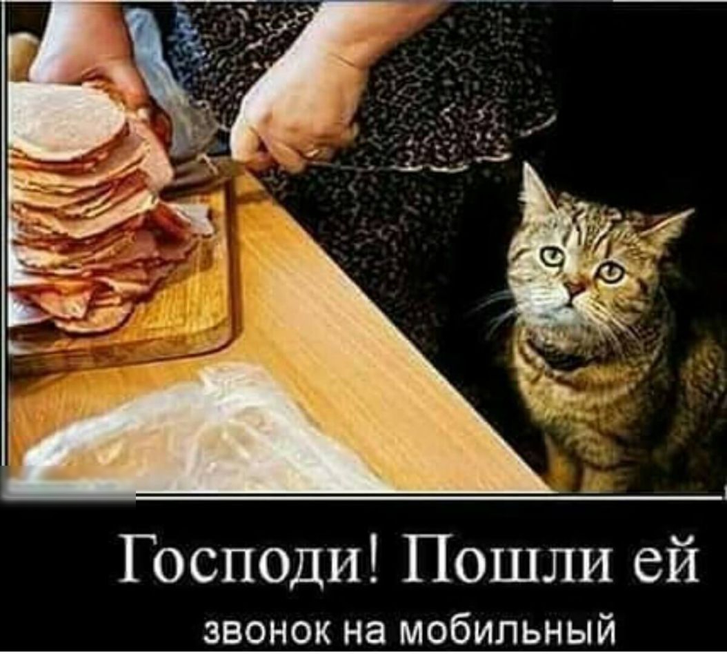 Господи Пошли ей звонок на мобильный