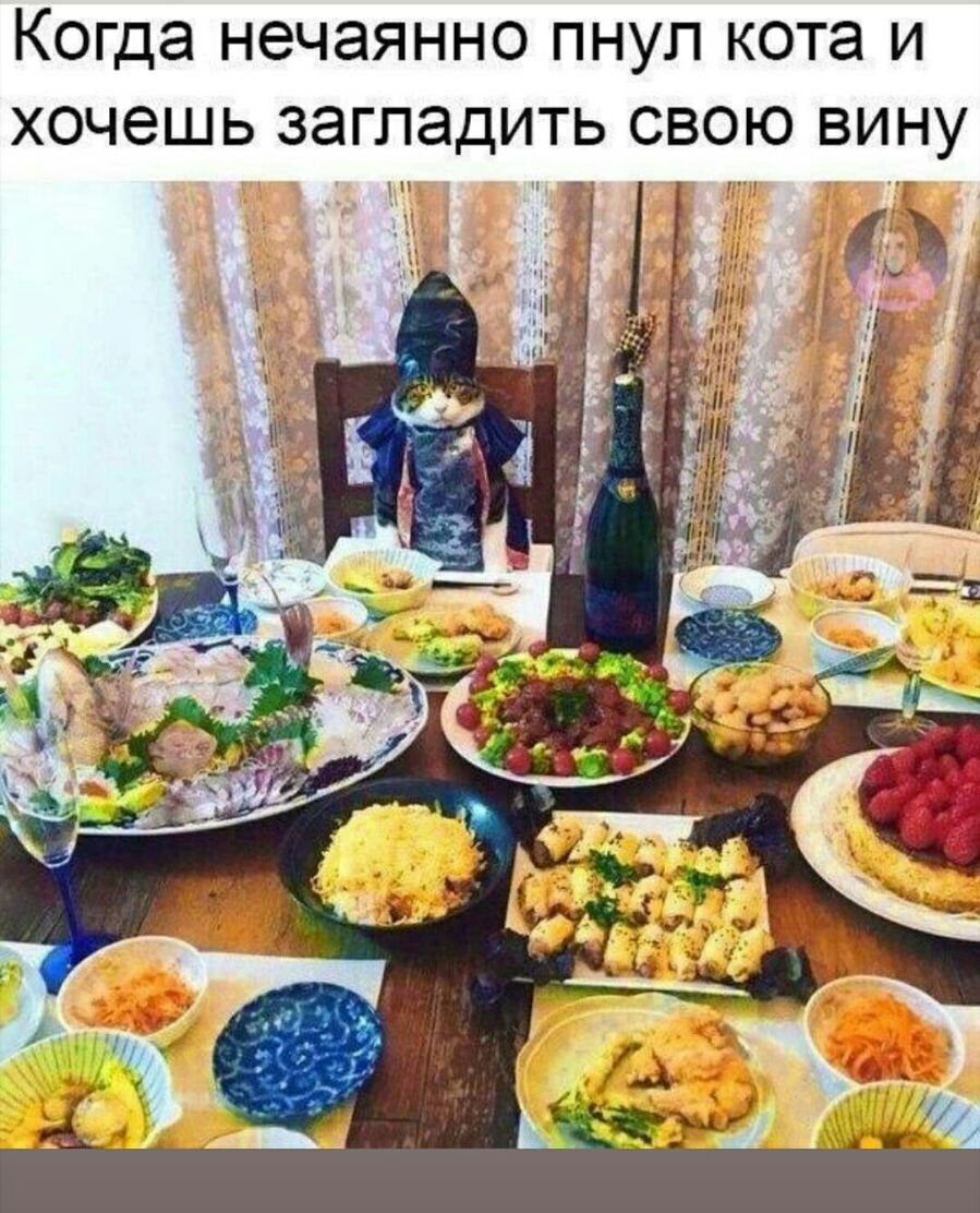 КОГДЭ НЭЧЭЯННО ПНУЛ кота И ХОЧЭШЬ ЗЭГПЭДИТЬ СВОЮ ВИНУ
