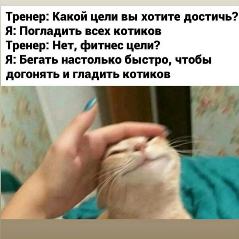 Тренер Какой цели вы хотите достичь Я Погладить всех котиков Тренер Нет фитнес цели Я Бегать настолько быстро чтобы дОГОНЯТЬ И гладить КОТИКОВ