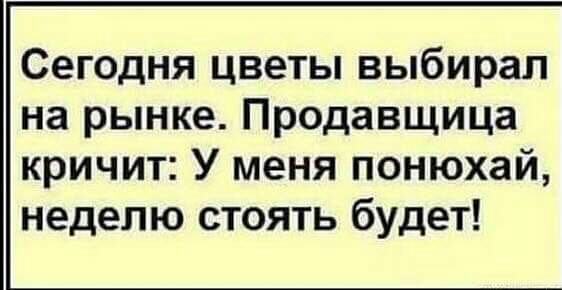 Сегодня цветы выбирал на рынке Продавщица кричит У меня понюхай неделю стоять будет
