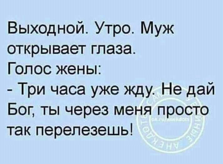 Выходной Утро Муж открывает глаза Гопос жены Три часа уже жду Не дай Бог ты через меня просто так перепезешь