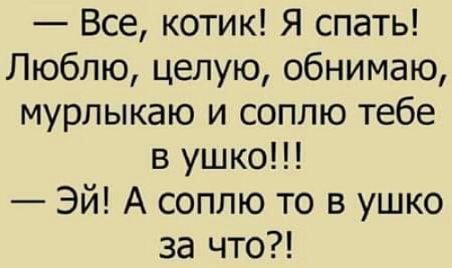 Все котик Я спать Люблю целую обнимаю мурлыкаю и соплю тебе в ушко Эй А соплю то в ушко за что