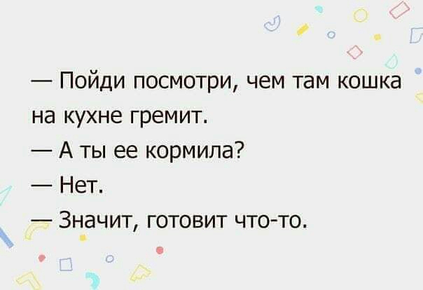 Пойди посмотри чем там кошка на кухне гремит А ты ее кормила Нет 3н_ачит готовит что то