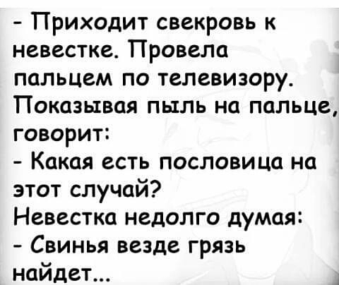Приходит свекровь к невестке Провела пальцем по телевизору Показывая пыль на пальце говорит Какая есть пословица на этот случай Невестка недолго думая Свинья везде грязь найдет