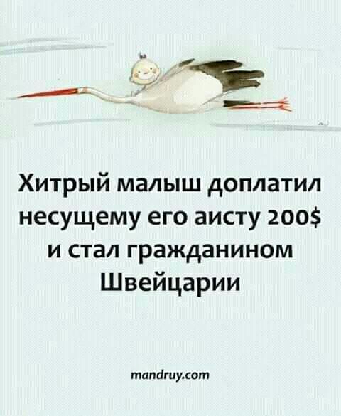 Хитрый малыш доплатил несущему его аисту 200 и стал гражданином Швейцарии тапашисот