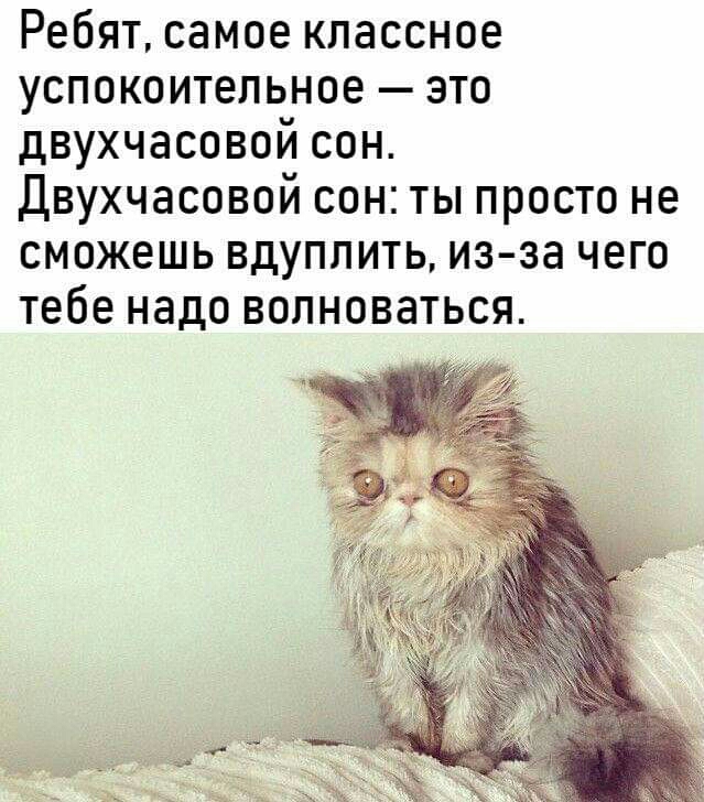 Ребят самое классное успокоительное это двухчасовой сон Двухчасовой сон ты просто не сможешь вдуплить из за чего тебе надо волноваться