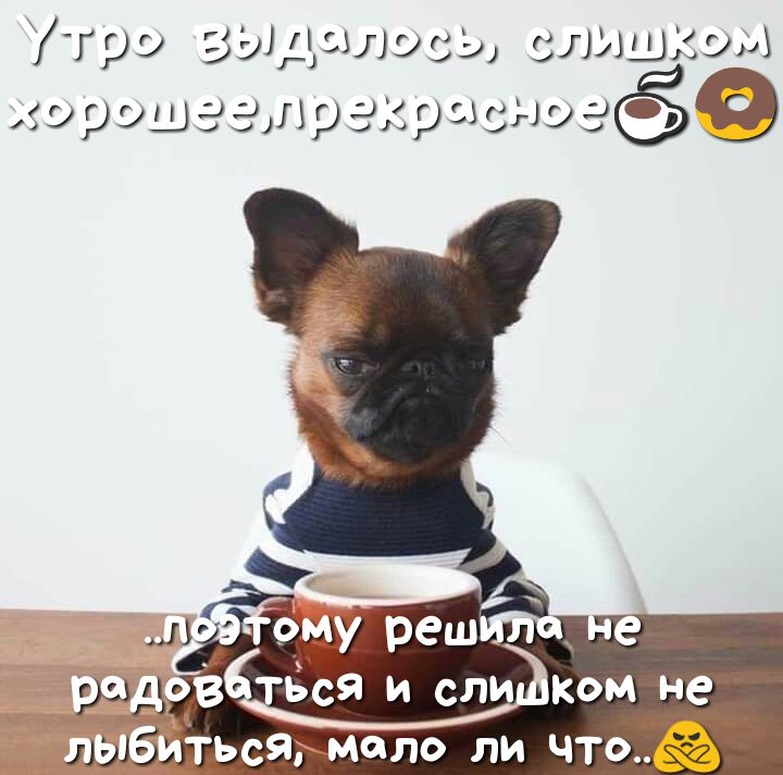гру зд эзлосэ слышит замшахрысгюаёё
