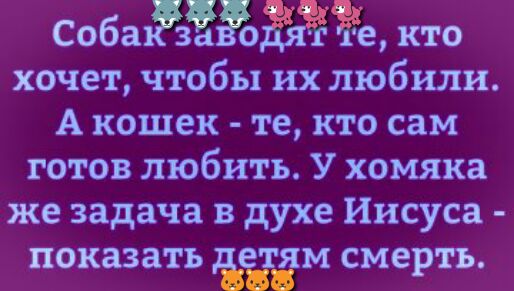 Собаъёзаёзёзі те кто хочет чтобы их любили А кошек те кто сам готов любить У хомяка же задача в духе Иисуса показать Ёём смерть