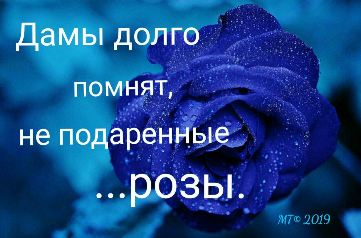 Дамы дол го помнат не подаренные р03ьъ