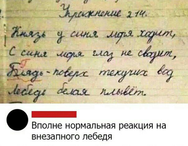вполне НОРМдЛЬНЗЯ реакция на ВНЕЗЭПНОГО лебедя