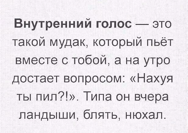 Внутренний голос это такой мудак который пьёт вместе с тобой а на утро достает вопросом Нахуя ты пип Типа он вчера ландыши блять нюхал