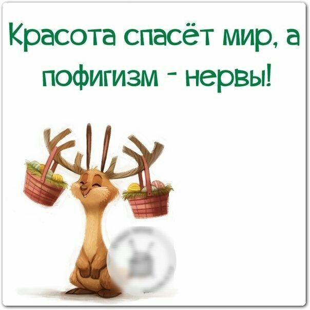 Красота спасёт мир а пофигизм нервы