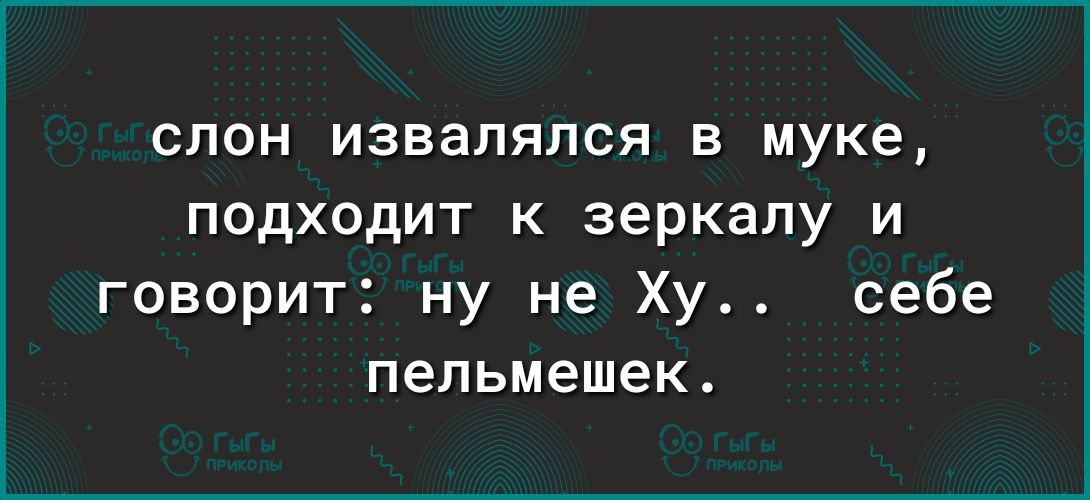 слон извалялся в муке подходит к зеркалу и говорит ну не Ху себе пельмешек