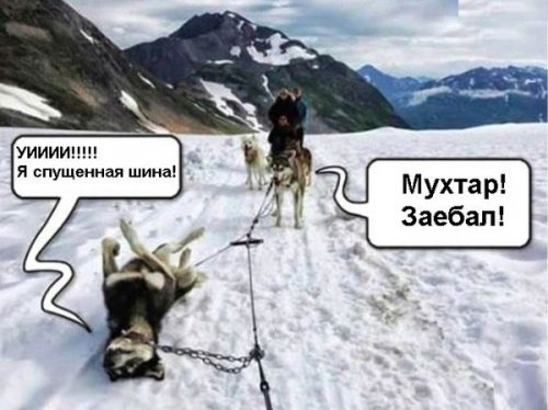 уиииицш _ я опущенная шина