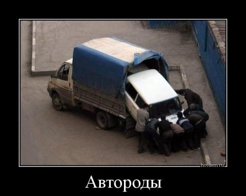 Автороды
