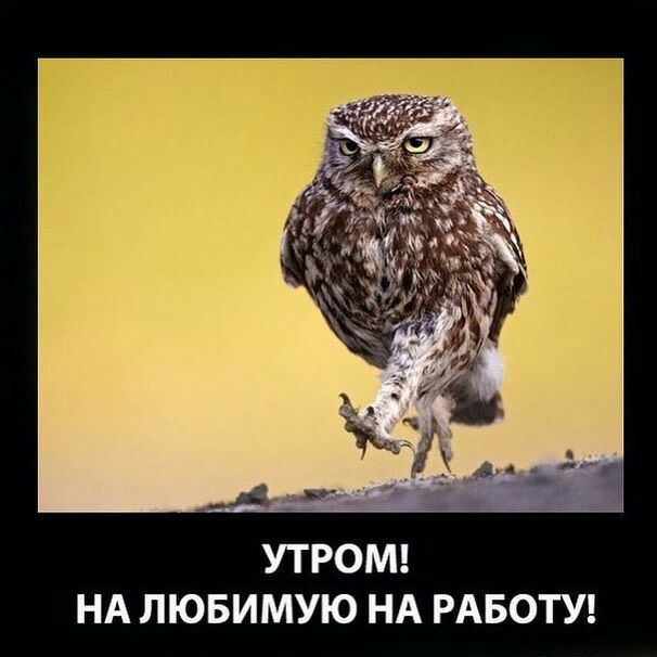 НА ЛЮБИМУЮ НА РАБОТУ