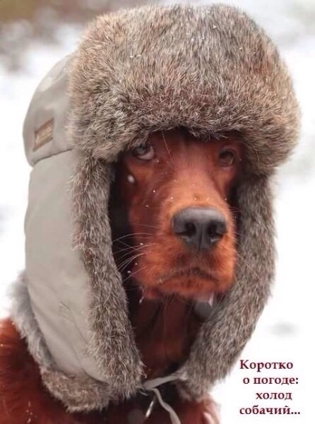 Коротко о погоде