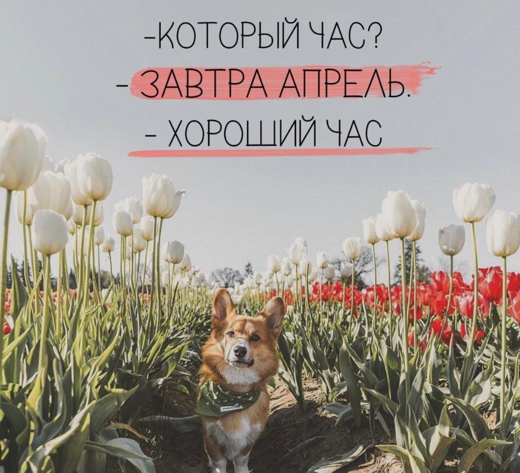 КОТОРЬЙ ЧАС ЗАВТРА АПРЕАЬ ХОРОШИЙ ЧАС