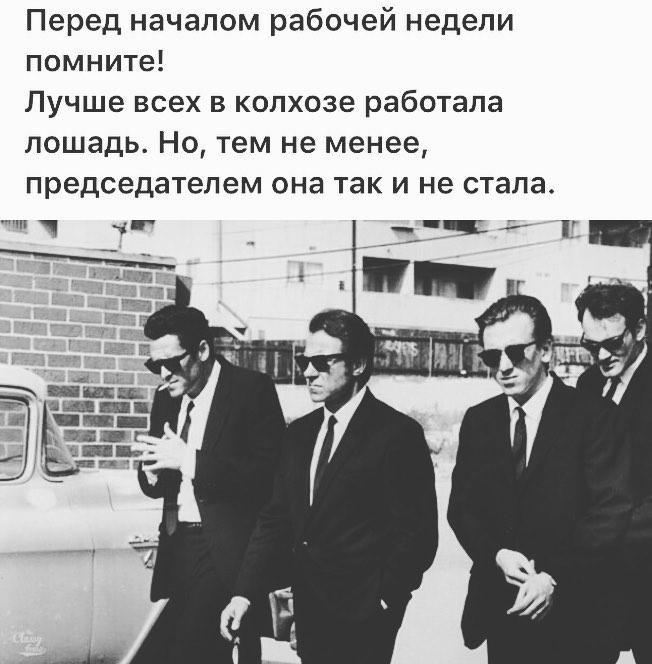 Перед началом рабочей недели помните Лучше всех в колхозе работала лошадь Но тем не менее председателем она так и не стала г