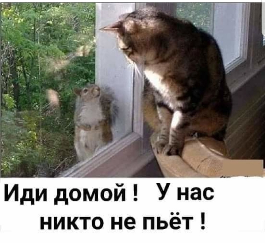Иди домой У нас никто не пьёт