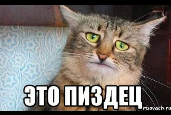 310 ИЗДНГ гіяоуась ги