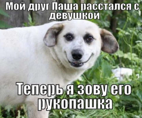 Мой ДПШ Паша ПЯССТ ЯПВЯ дВВУШНПЙ