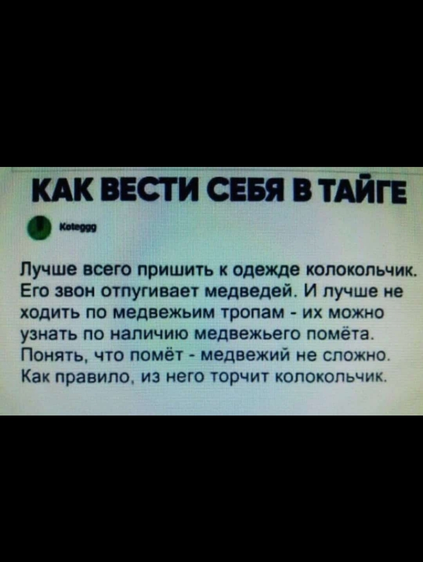 шистисввявтдйг Пучше всего пришить одежде колокольчик Его звон отпугиваы медведей И лучше не ХОДИТЬ По МЕДВЕЖЬИМ ТРОПЗМ ИХ МОЖНО узнать по наличию медвежьего помета Помин что помёт медвежий не спомно Как правило из его торчит КОПОКОПьчьц