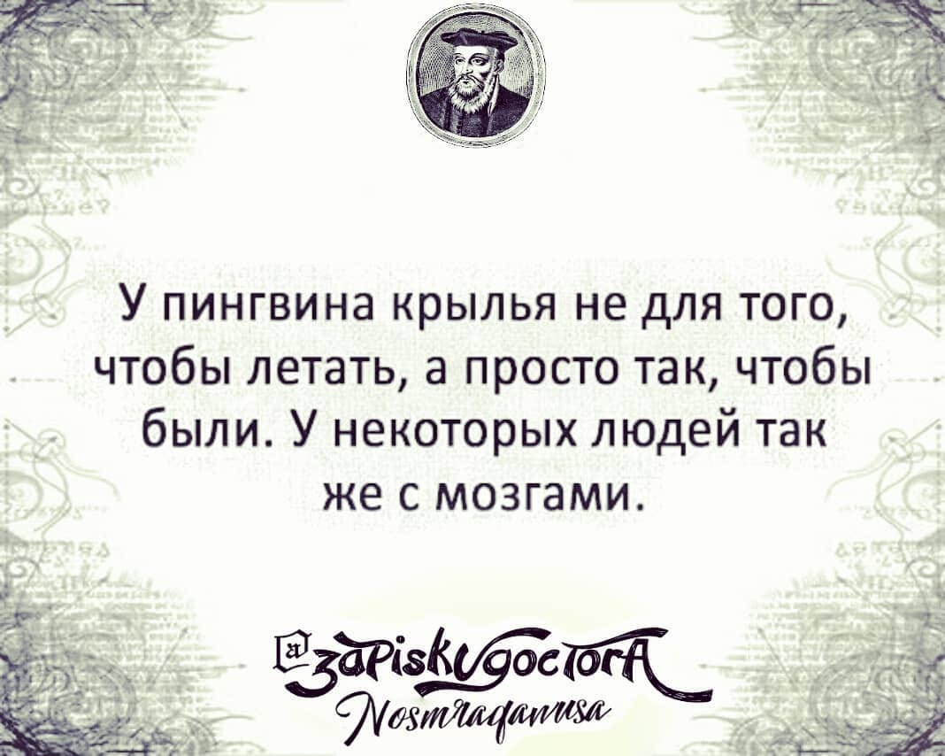 У пингвина крылья не для того чтобы летать а просто так чтобы были У некоторых людей так же с мозгами
