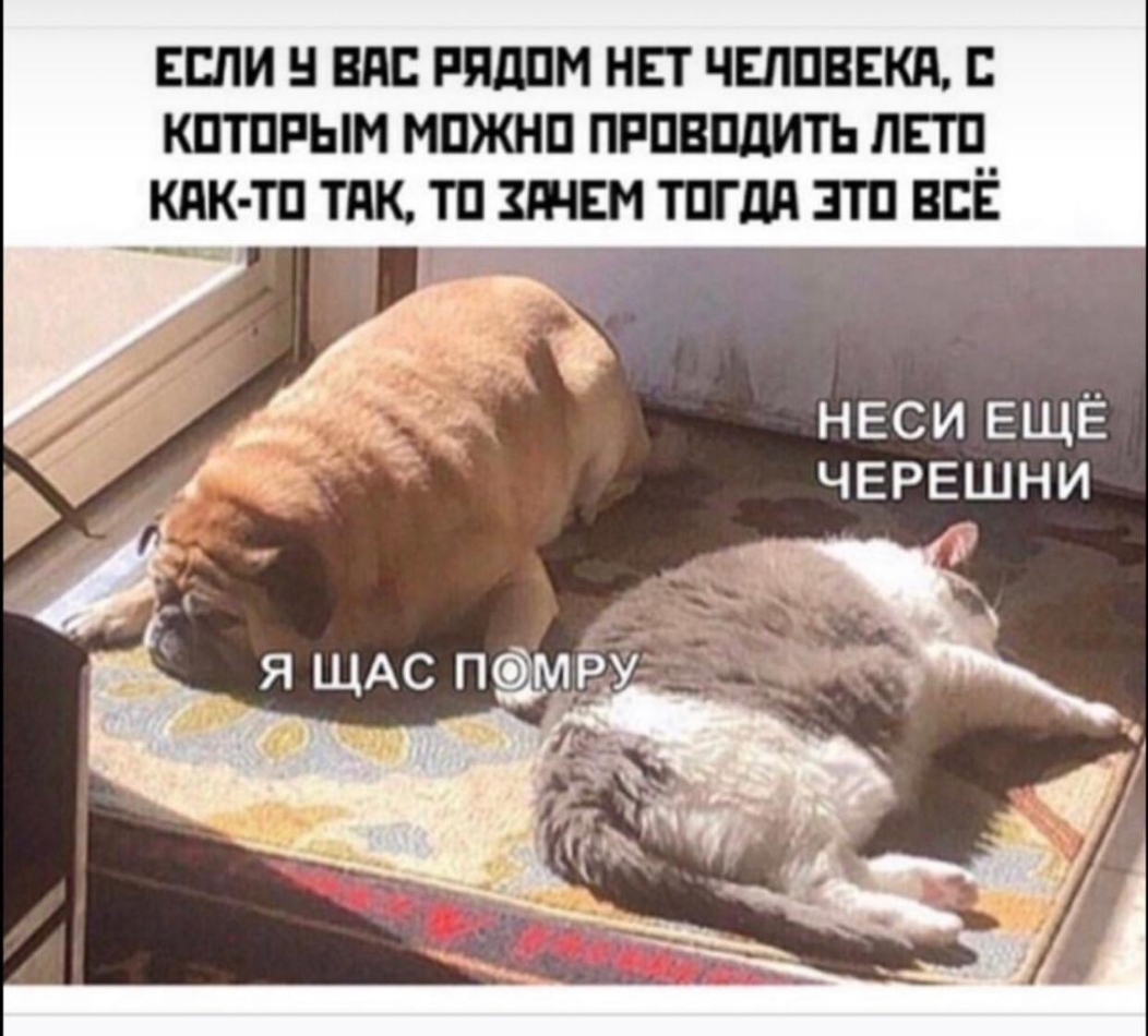 ЕСЛИ Ч ВАС РЯДОМ НЕТ ЧЕЛОВЕКА С КОТОРЫМ МОЖНО ПРОВОДИТЬ ЛЕТО КАК ТО ТАК ТО ЗАЧЕМ ТОГДА ЭТО ВСЕ 5 НЕСИ ЕЩЁ ЧЕРЕШНИ _ Я ЩАС ПФМРУ енеке Ди Ро Гей жи РА У я Э