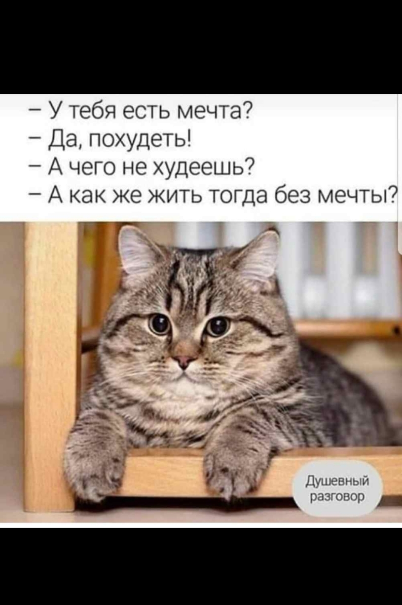У тебя есть мечта Да похудеть А чего не худеешь А как же жить тогда без мечты