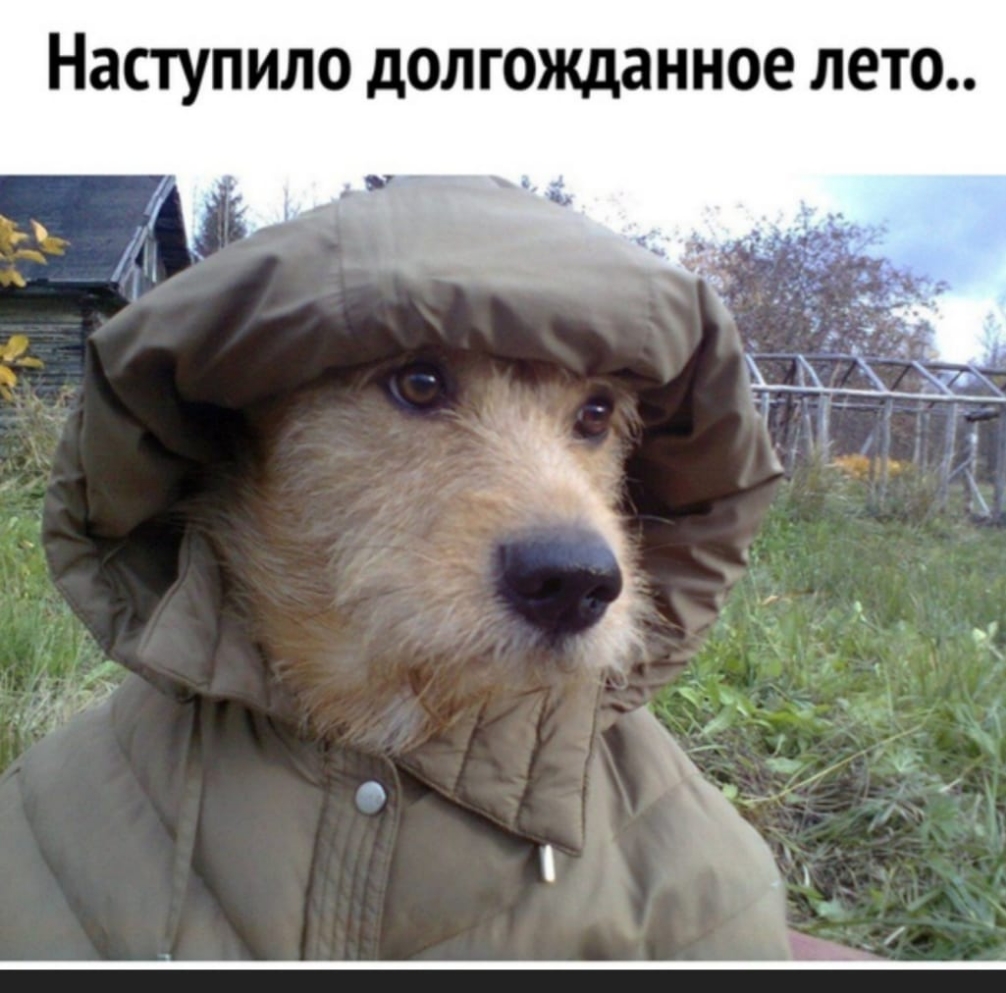 Наступило долгожданное лето