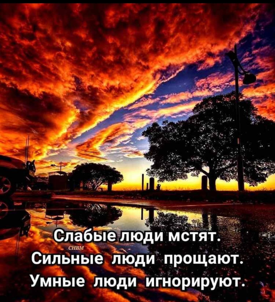 Зея люди Зе Умные люди игнорируют н